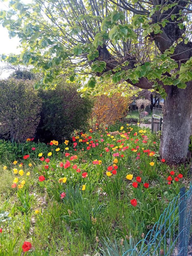 Rosalie Cottage Beaurepaire  Εξωτερικό φωτογραφία