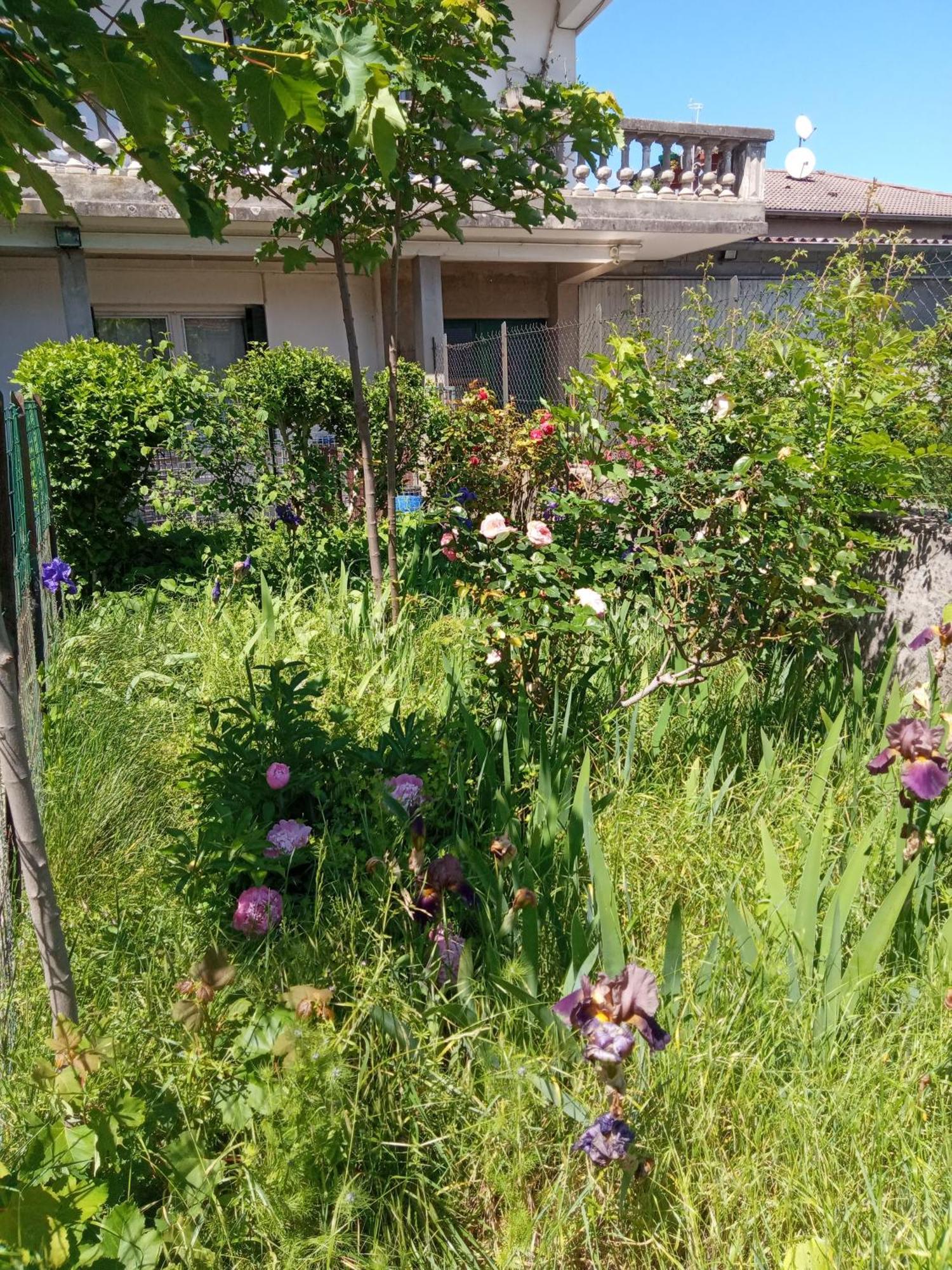 Rosalie Cottage Beaurepaire  Εξωτερικό φωτογραφία