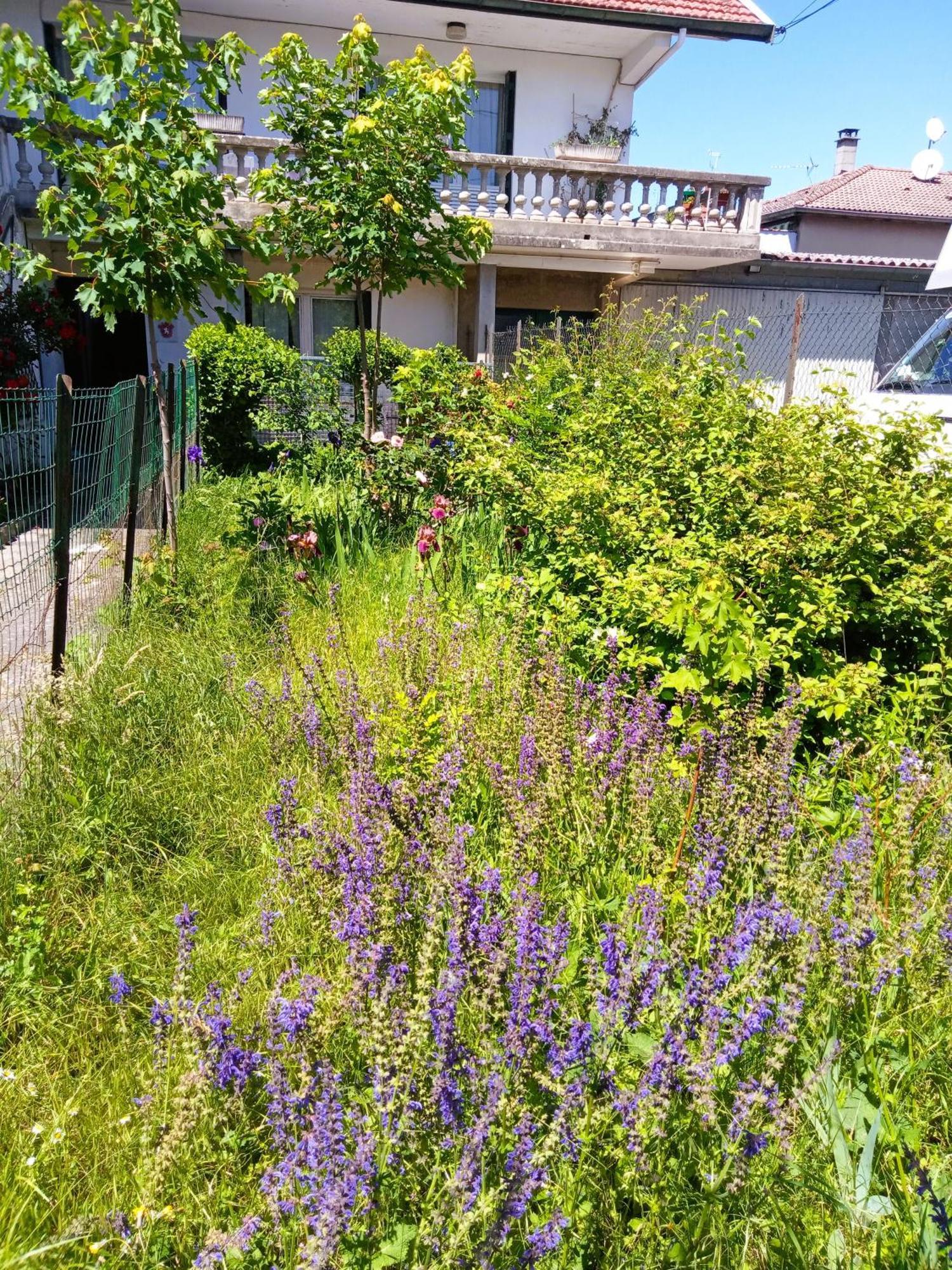 Rosalie Cottage Beaurepaire  Εξωτερικό φωτογραφία