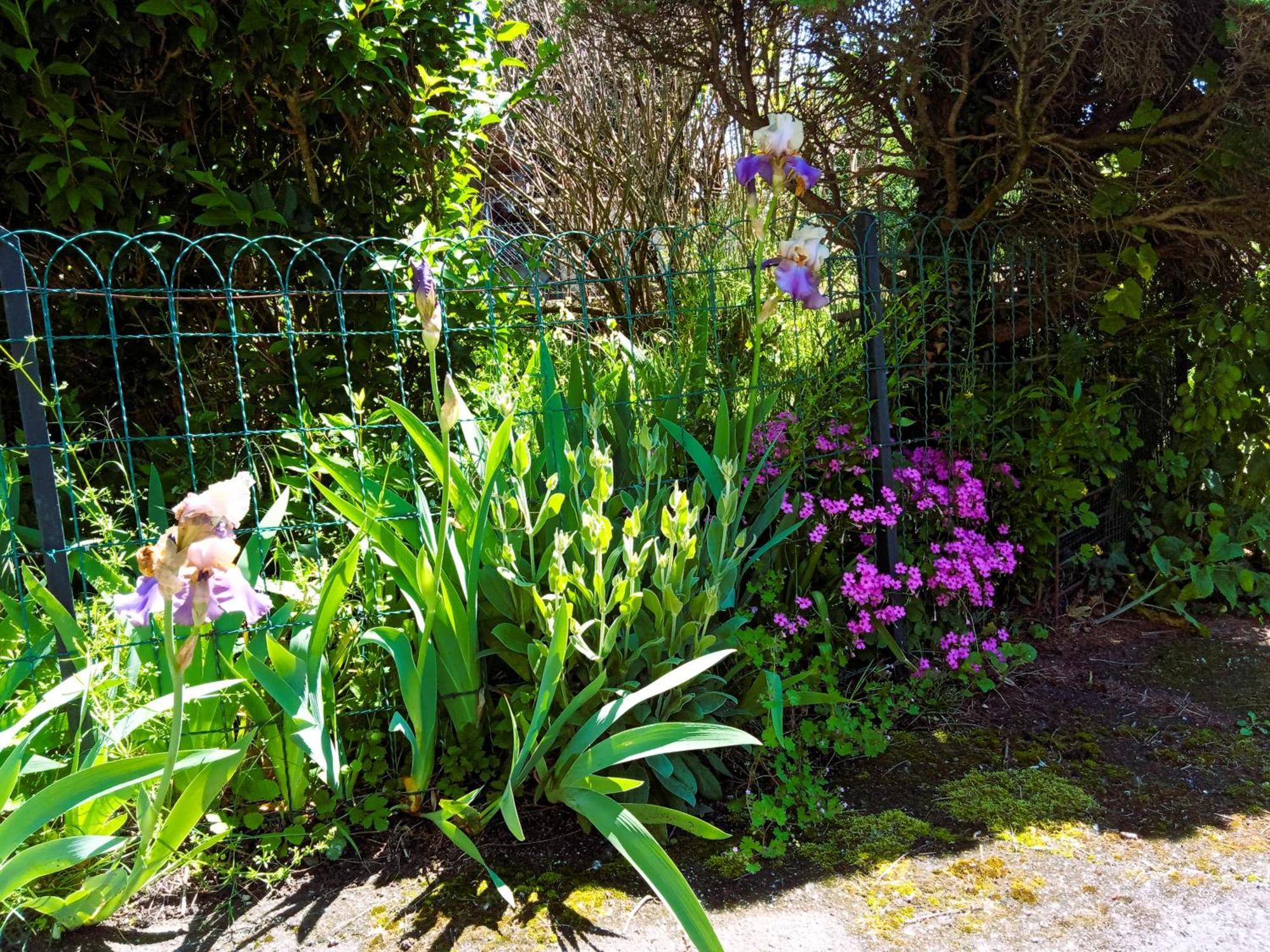 Rosalie Cottage Beaurepaire  Εξωτερικό φωτογραφία